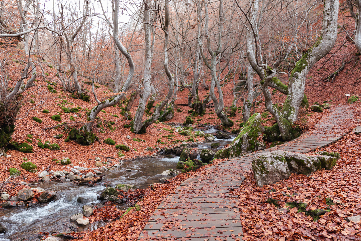 Río Faedo en León (Istockphoto)