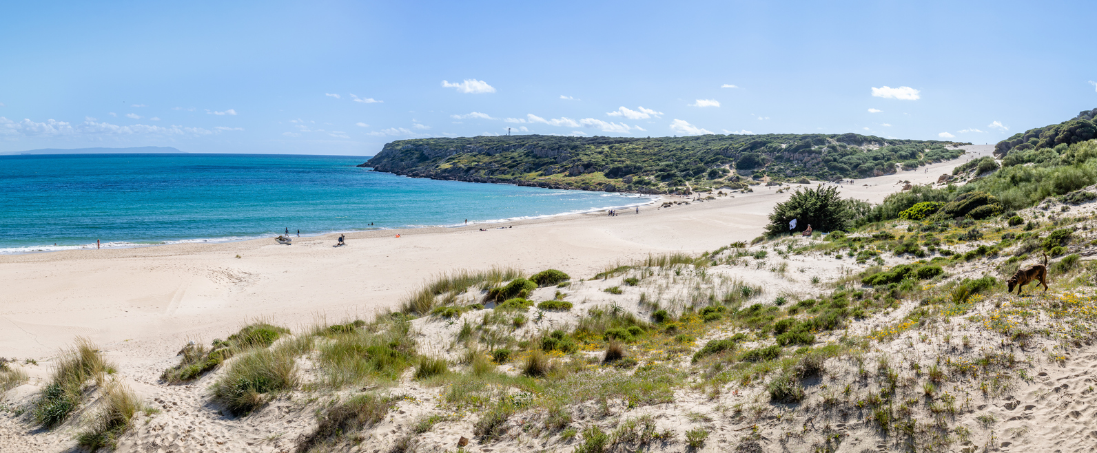 Playa de Bolonia en Cádiz