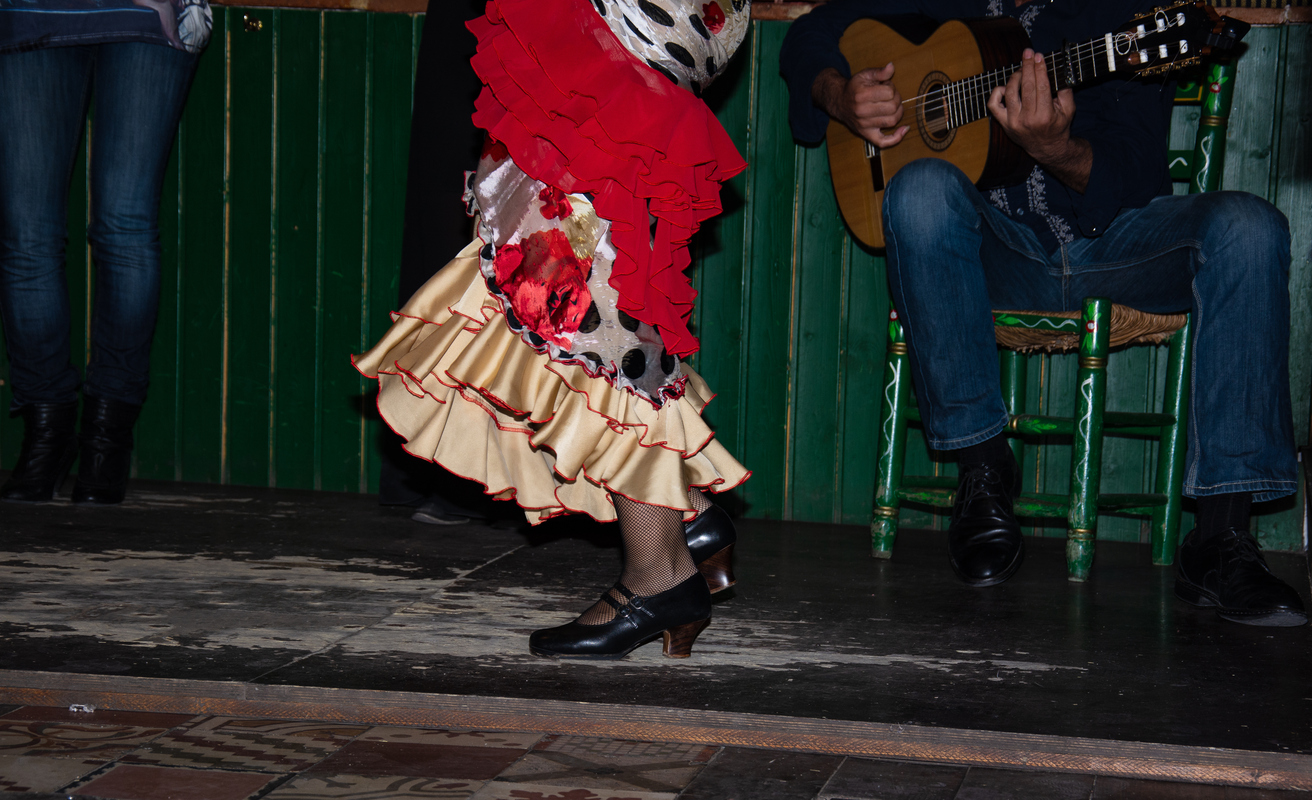 Bailadora flamenca