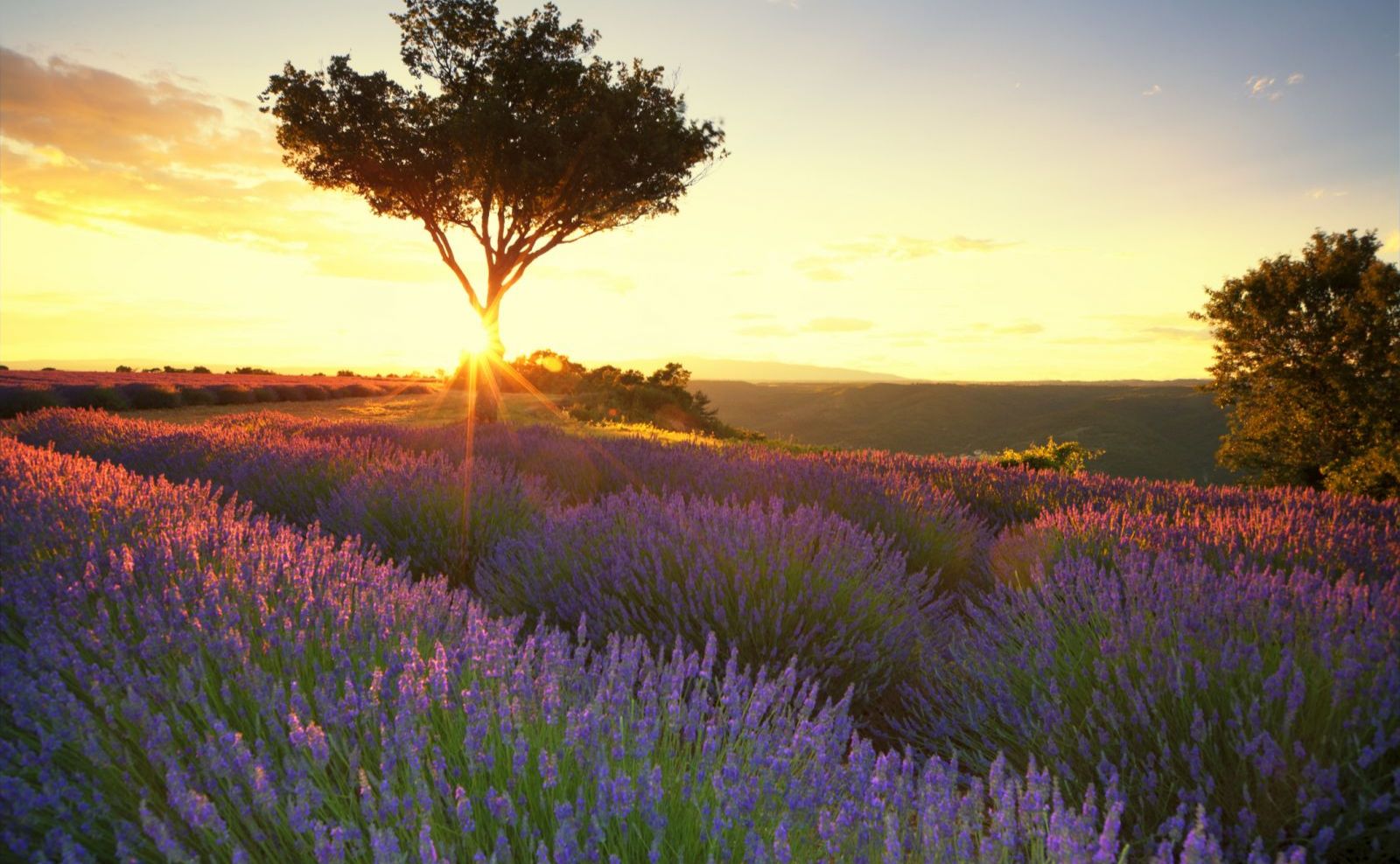 12 colores de Francia que parecen inventados (y el mejor mes para descubrir cada uno)