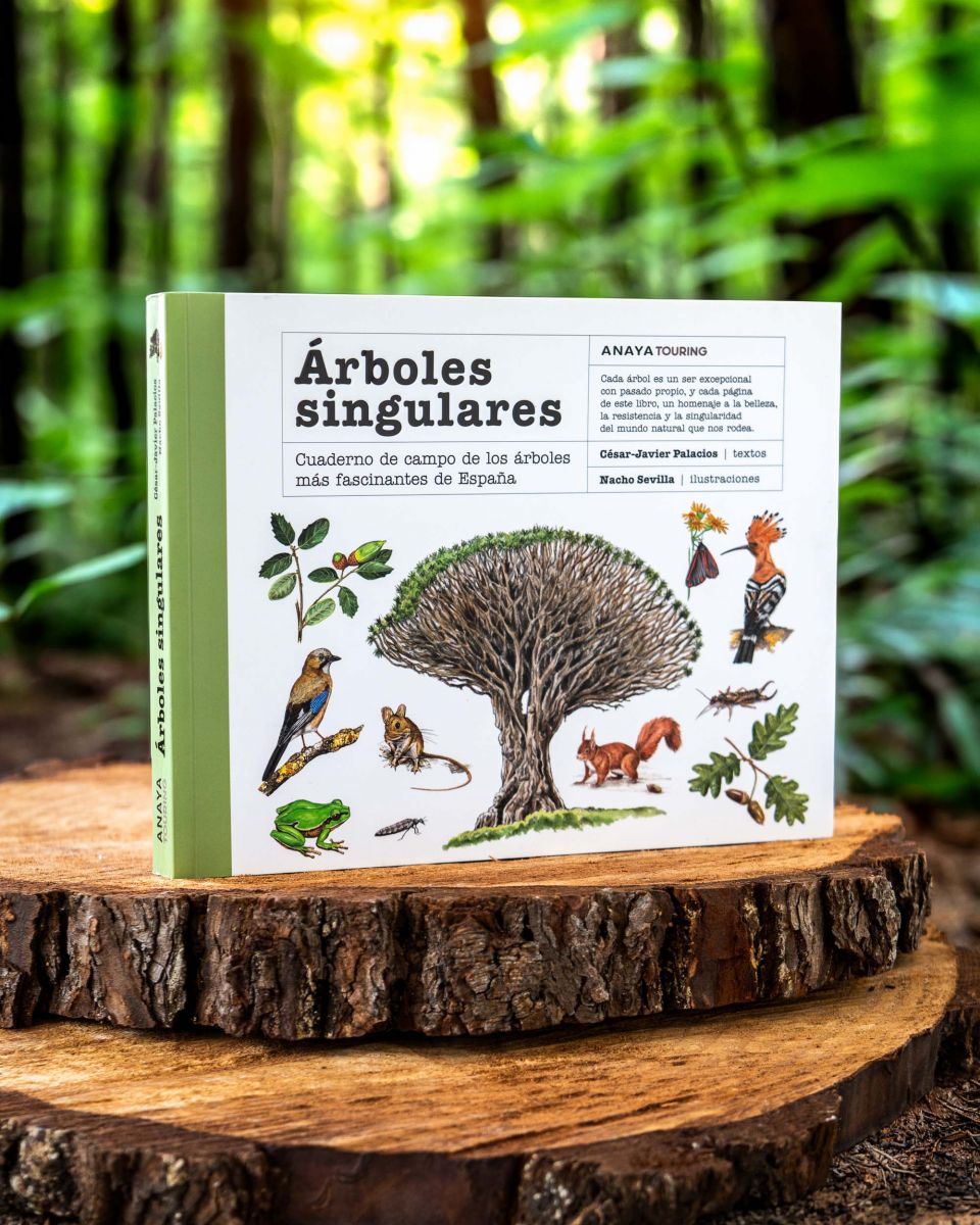 Árboles Singulares, Anaya Touring