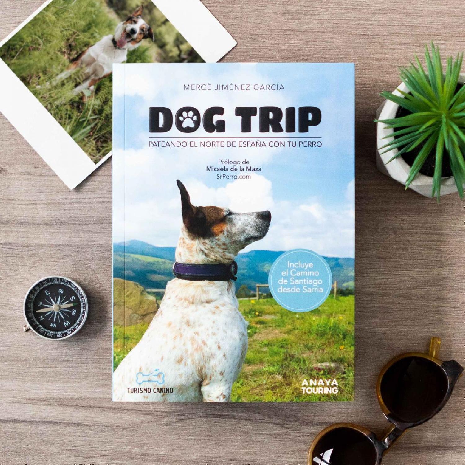 Dog trip. Pateando el norte de España con tu perro